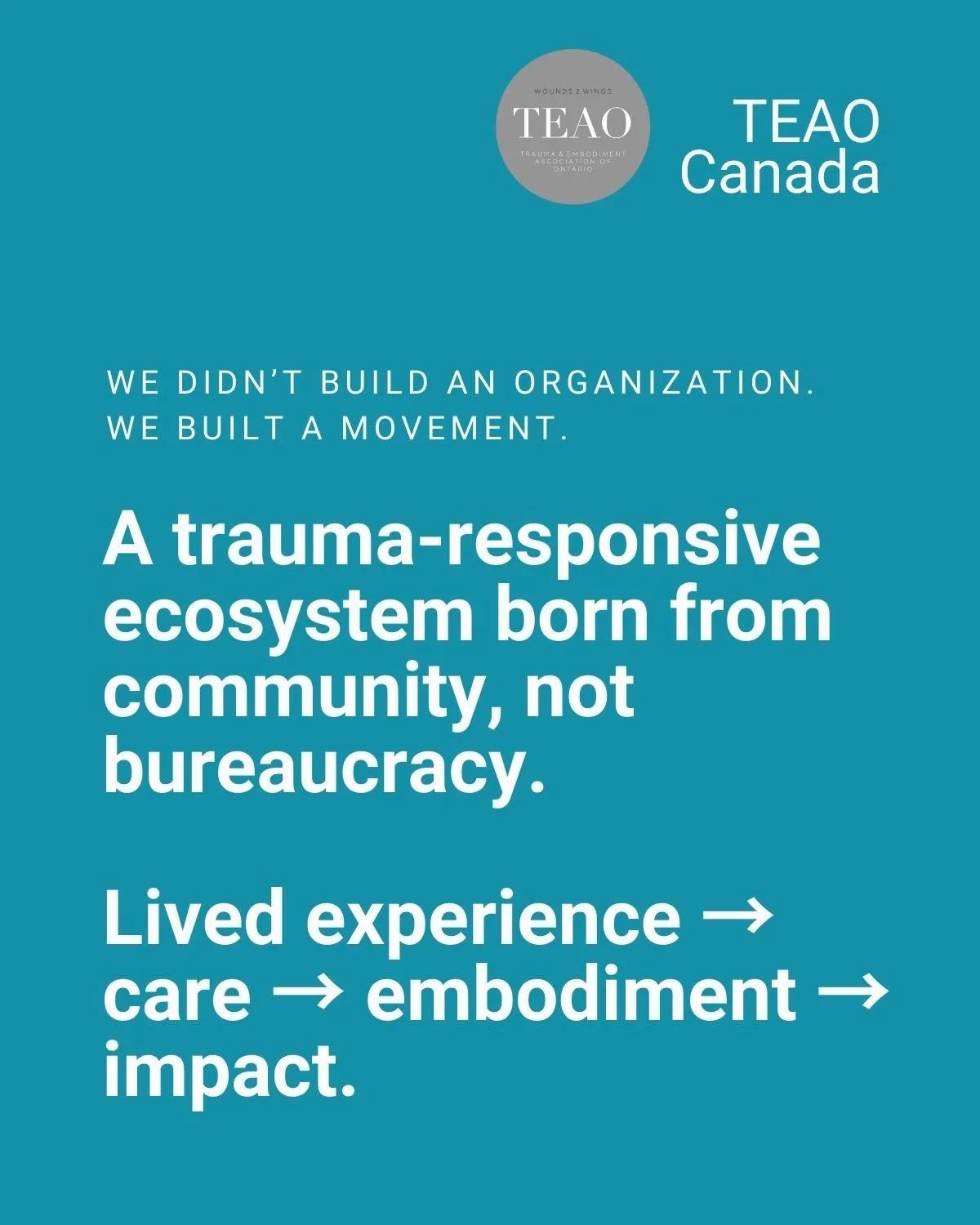 We didn&rsquo;t build an organization - we built a movement.
Not from bureaucracy.
Not from legacy wealth.
Not from political comfort.
But from lived experience, community trust, and a refusal to wait for permission.

Two weeks ago, TEAO (Trauma &amp