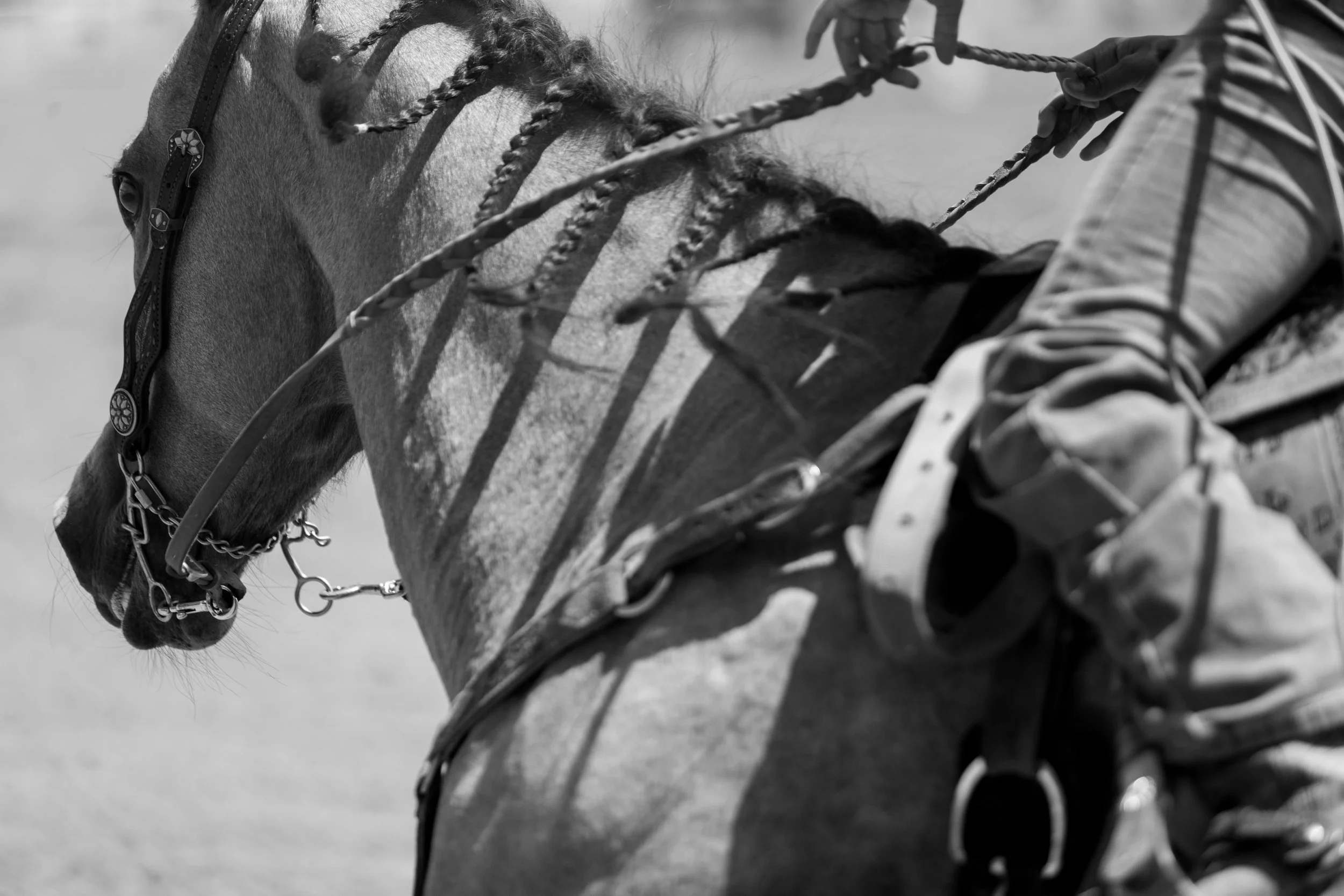 Kristareynoldsphotography-45.jpg