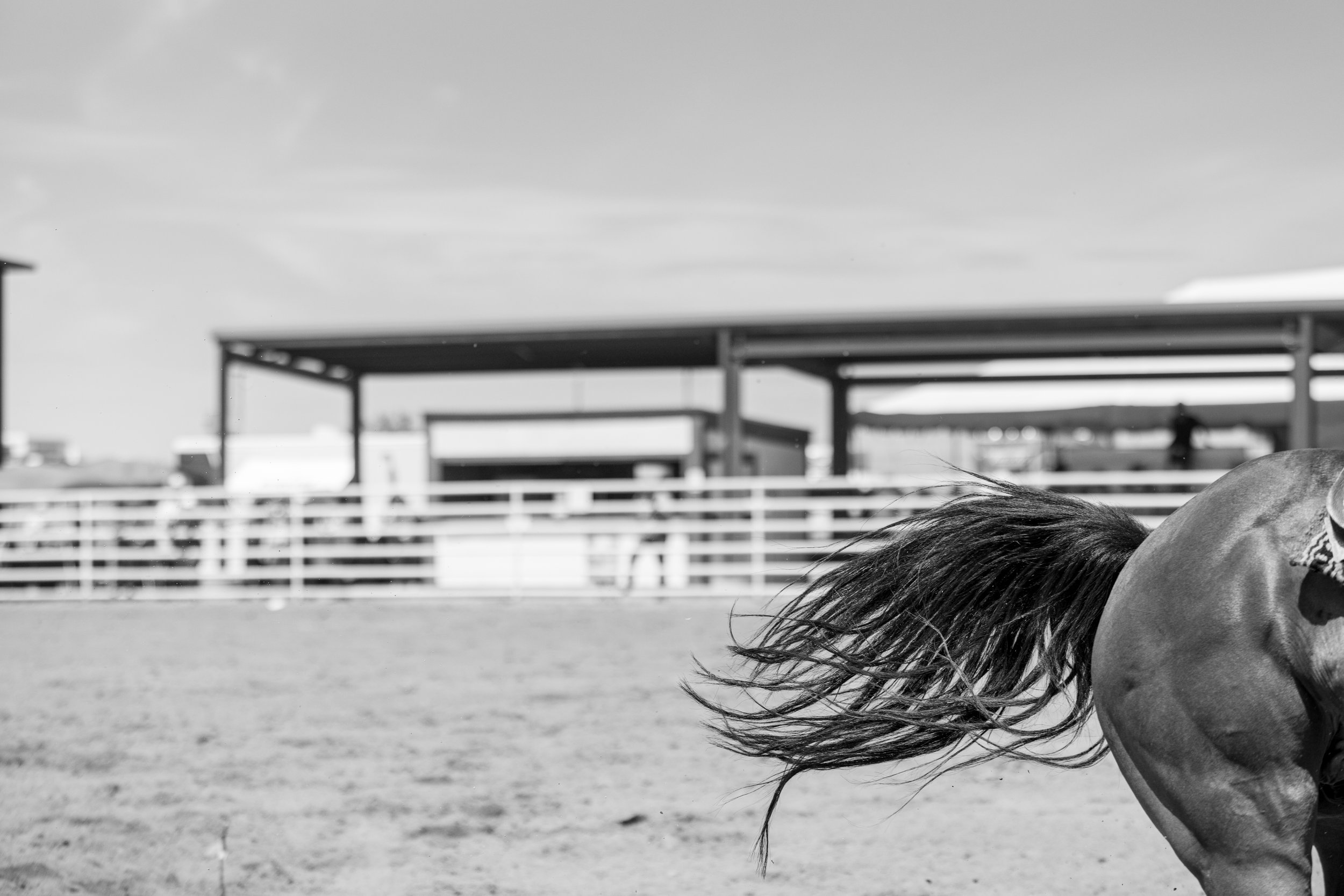 Kristareynoldsphotography-90.jpg