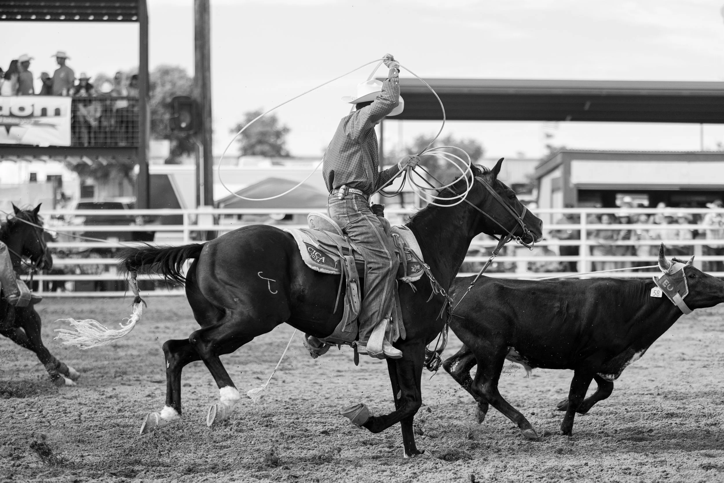Kristareynoldsphotography-446.jpg