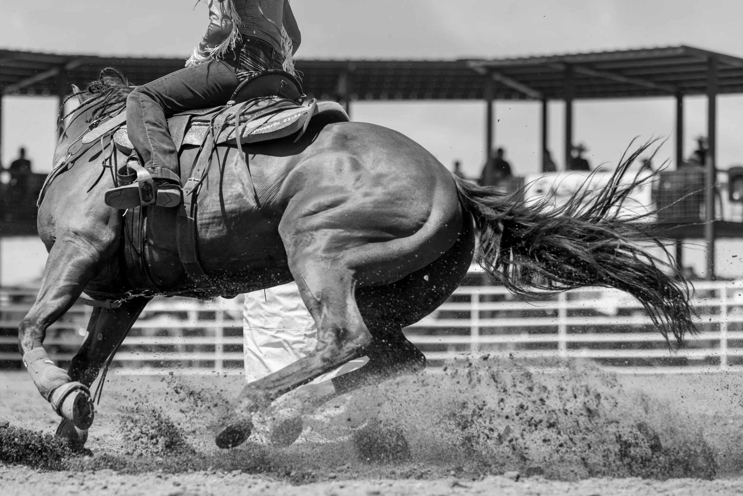 Kristareynoldsphotography-41.jpg