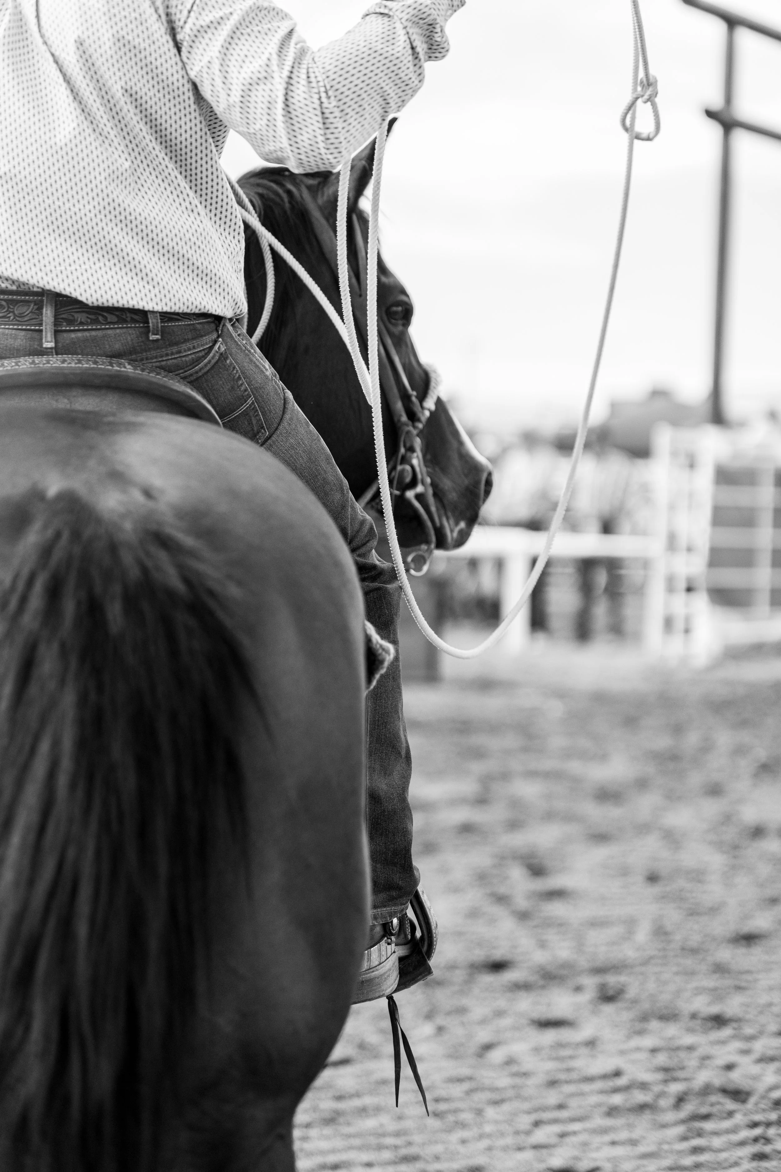 Kristareynoldsphotography-481.jpg