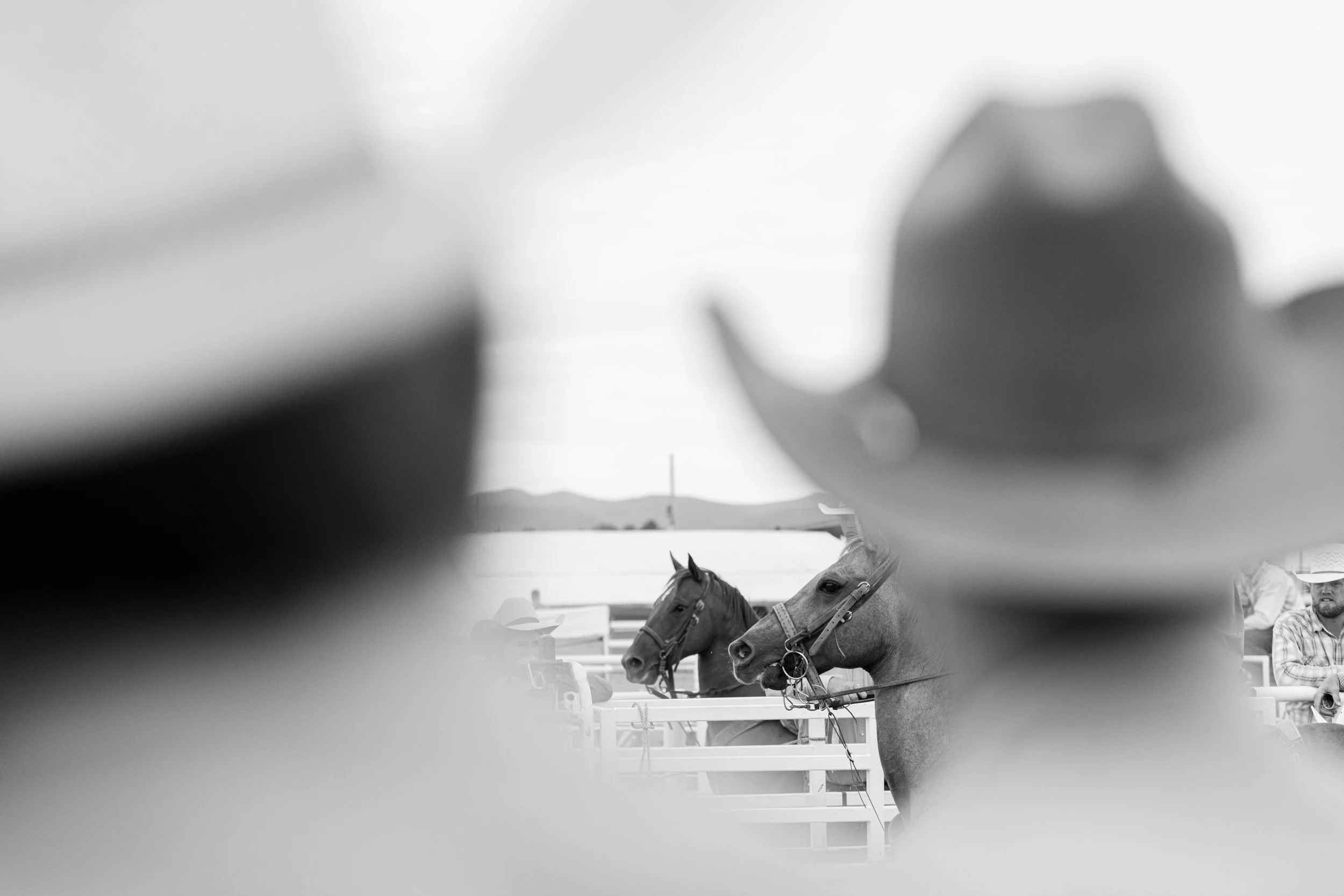 Kristareynoldsphotography-193.jpg