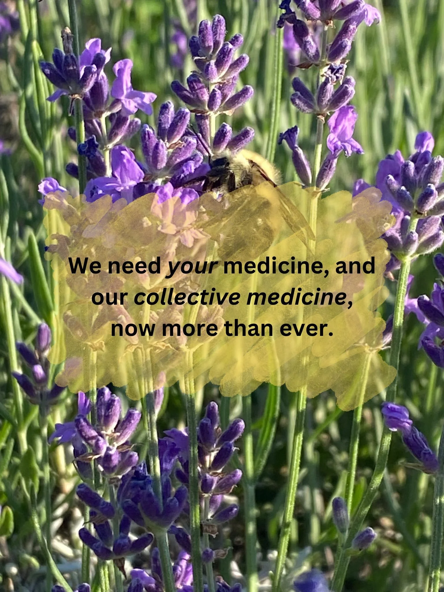 Let your medicine find you