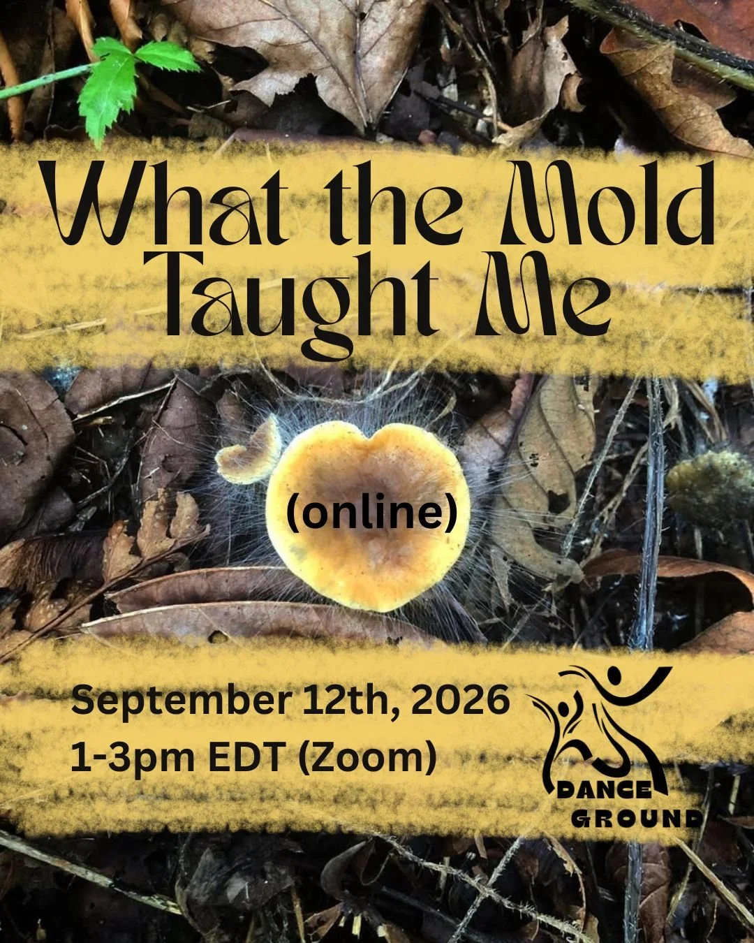 🍄‍🟫What the Mold Taught Me (online) Danceground 