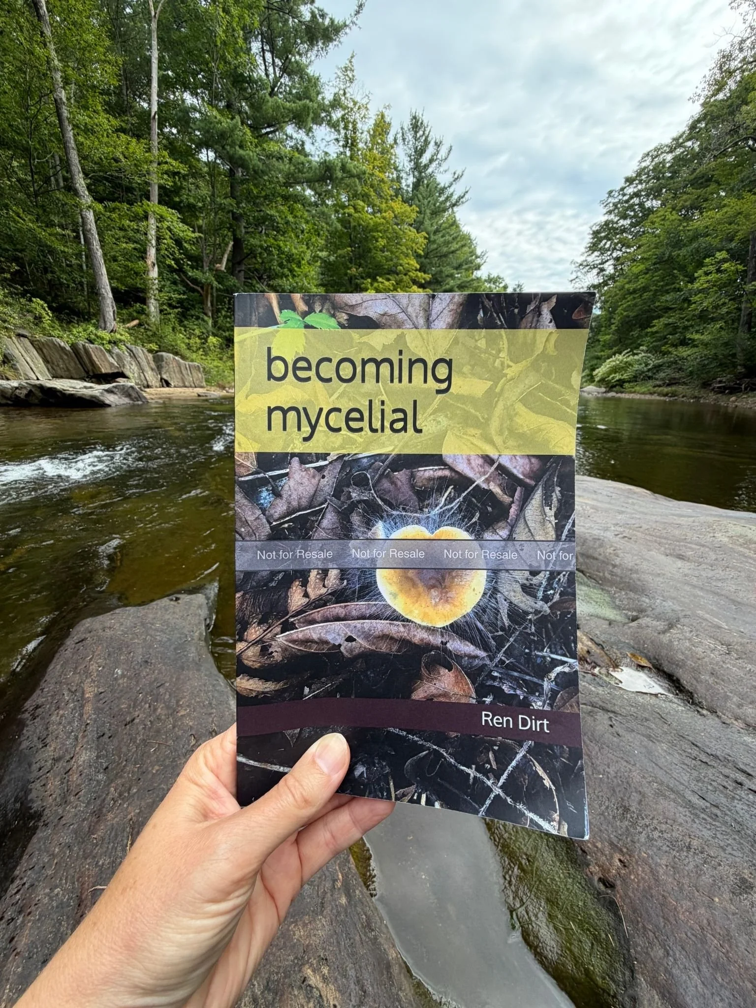 A proof copy just chilling in the middle of a river in the Hilltowns of Western MA!