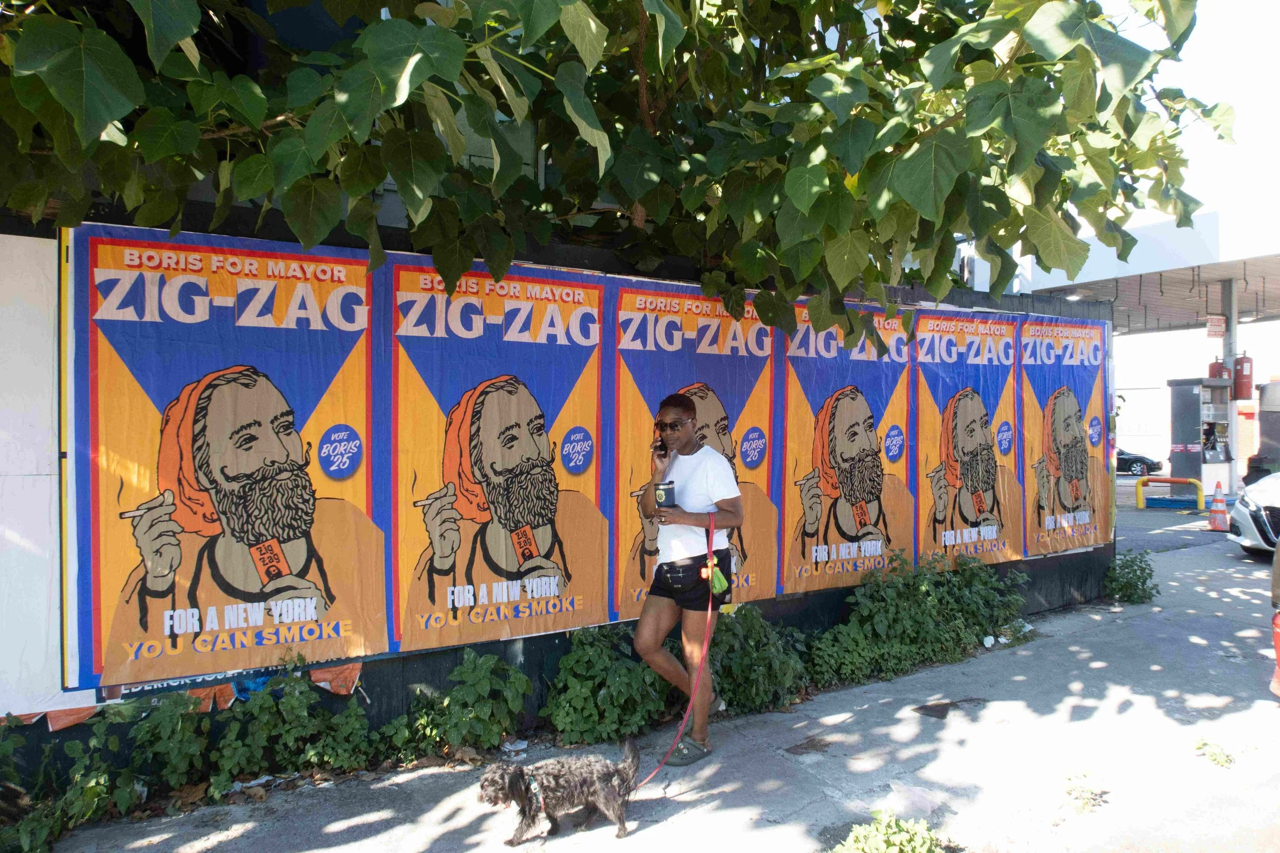 Woman walking her dog past multiple campaign posters for Boris for Mayor on a wall, with large green leaves overhead and a parking lot in the background.