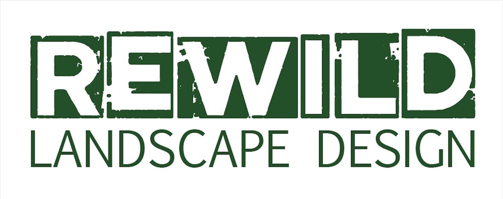 REWILD LANDSCAPE DESIGN