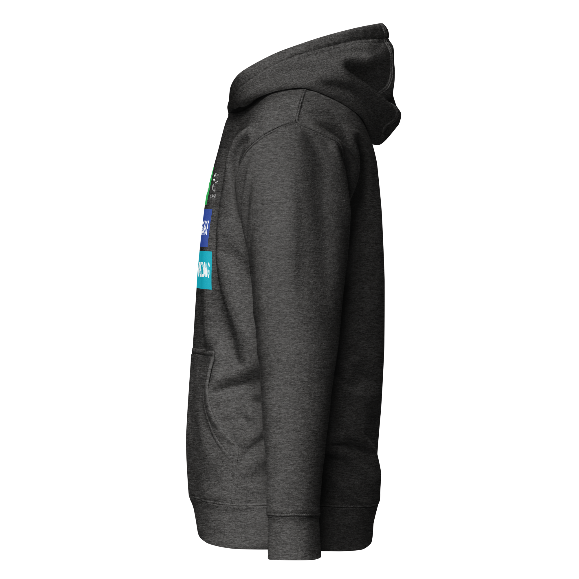 unisex-premium-pullover-hoodie-charcoal-heather-left-69e8027e896ed.png