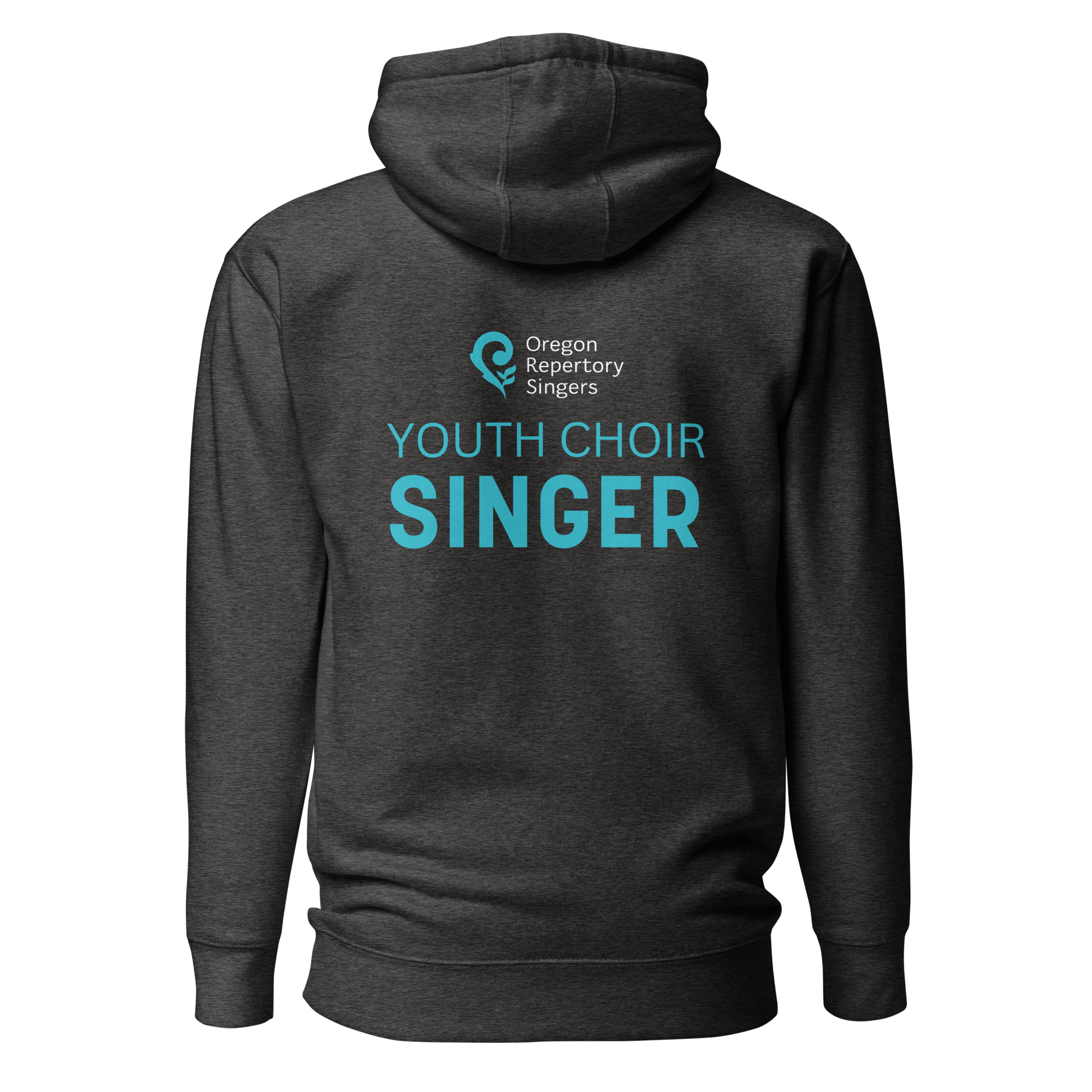 unisex-premium-pullover-hoodie-charcoal-heather-back-69e80c02804f0.png