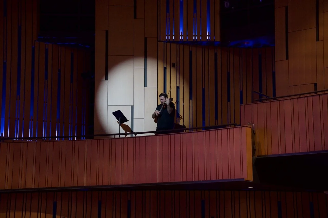 SNY00155 2 Large.jpeg