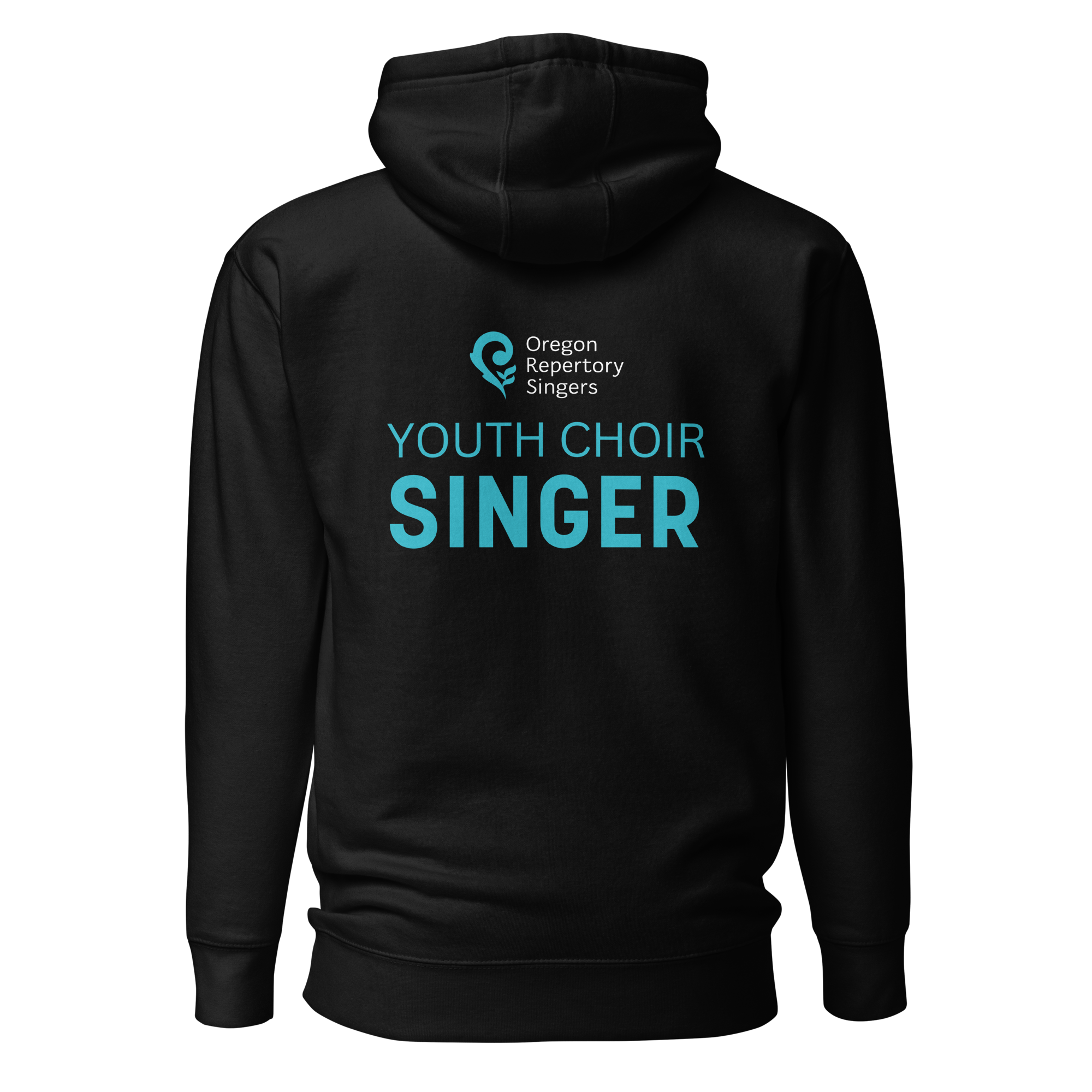 unisex-premium-pullover-hoodie-black-back-69e80c0280281.png