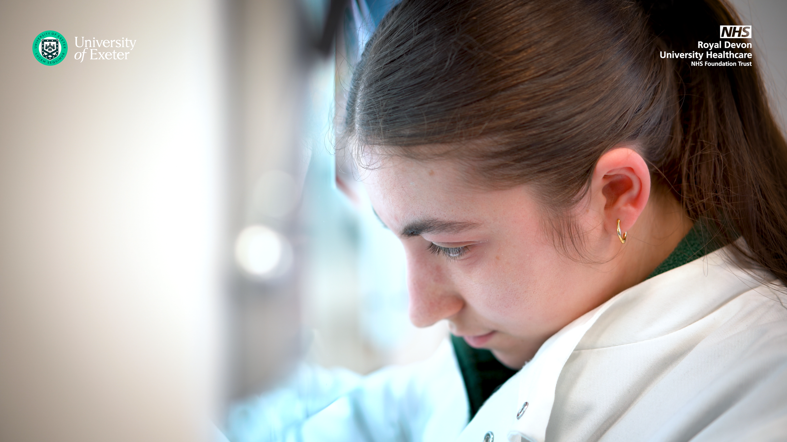 FG2 - 1.5 Minute Version New Cutaways.00_00_17_11.Still001.png