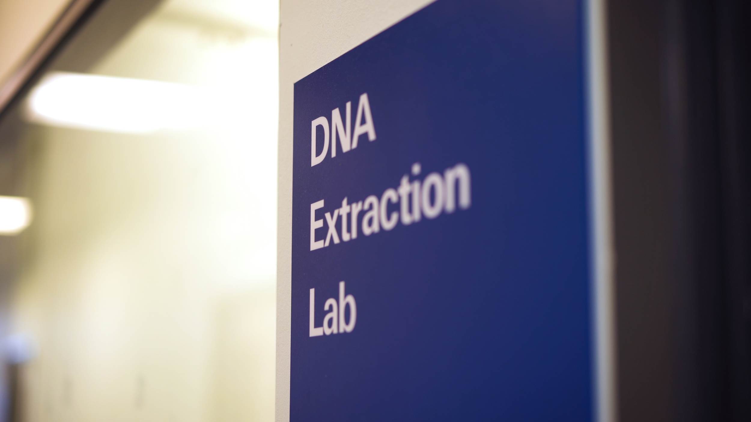 FG2 - 1.5 Minute Version New Cutaways.00_00_12_19.Still004.png