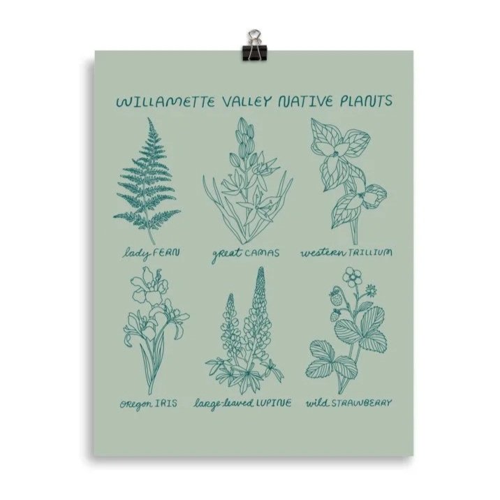 enhanced-matte-paper-poster-%28in%29-11x14-transparent-6a6bc3e35b958.jpg