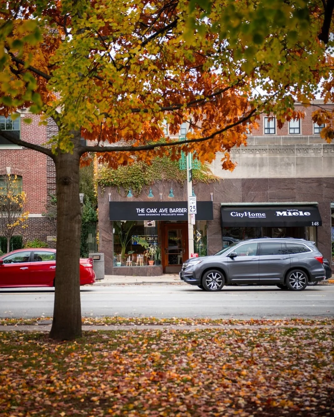 POV: you’re sitting on a bench at the park on a beautiful crispy fall/early winter day and see a lovely and inviting barbershop in front of you 🤍
#barbershop #photography #oakpark #illinois #haircuts #fades #hairsalon #barbersalon #chicagobar