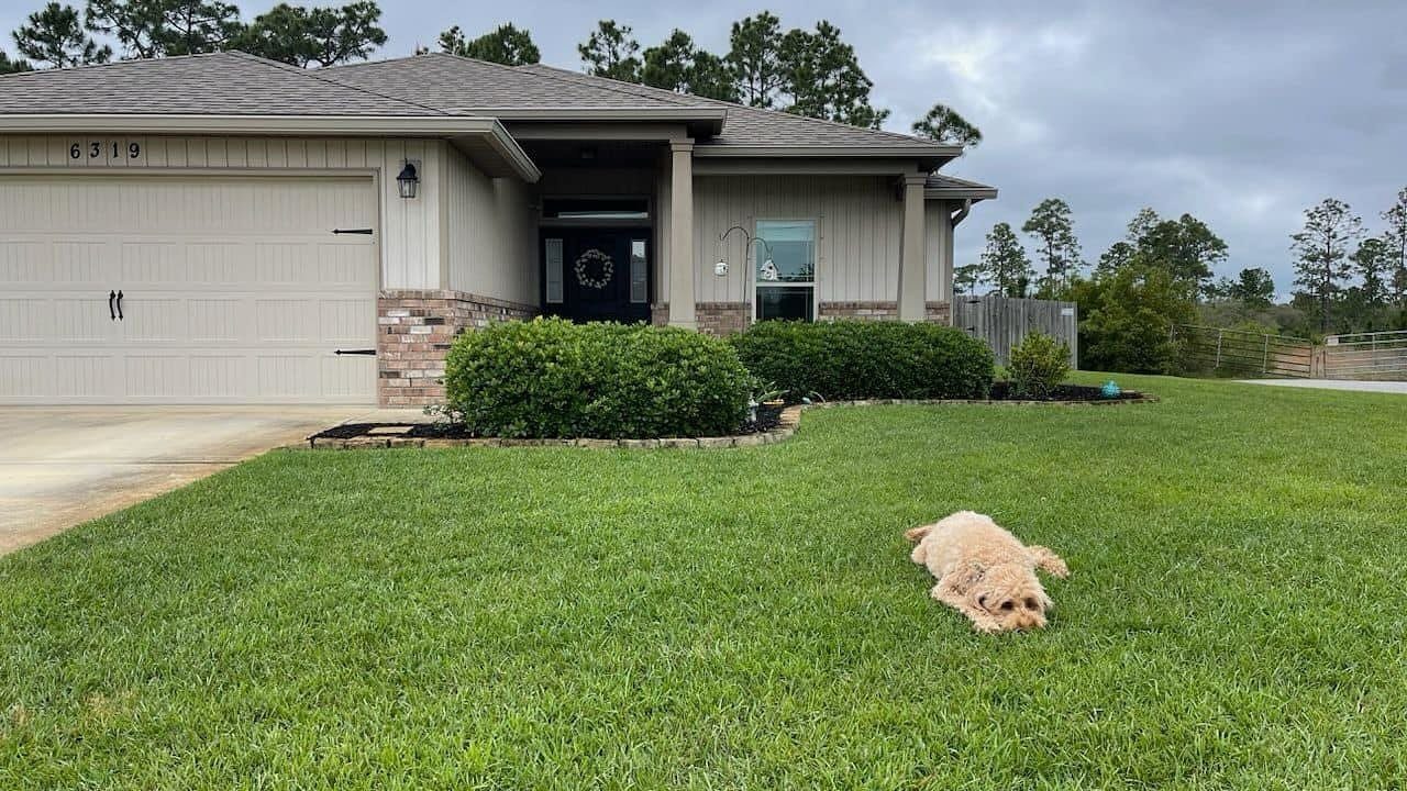 6319 Post Oak Lane is UNDER CONTRACT and would you look at the buyer? Multiple offers and this guy won after a long drive with his military family to find a home. ❤️🐾🏡

Buying a home looks different for everyone. Especially for a family when they m