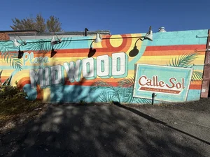 Plaza Midwood, Charlotte NC: The 2026 Buyer's Neighborhood Guide