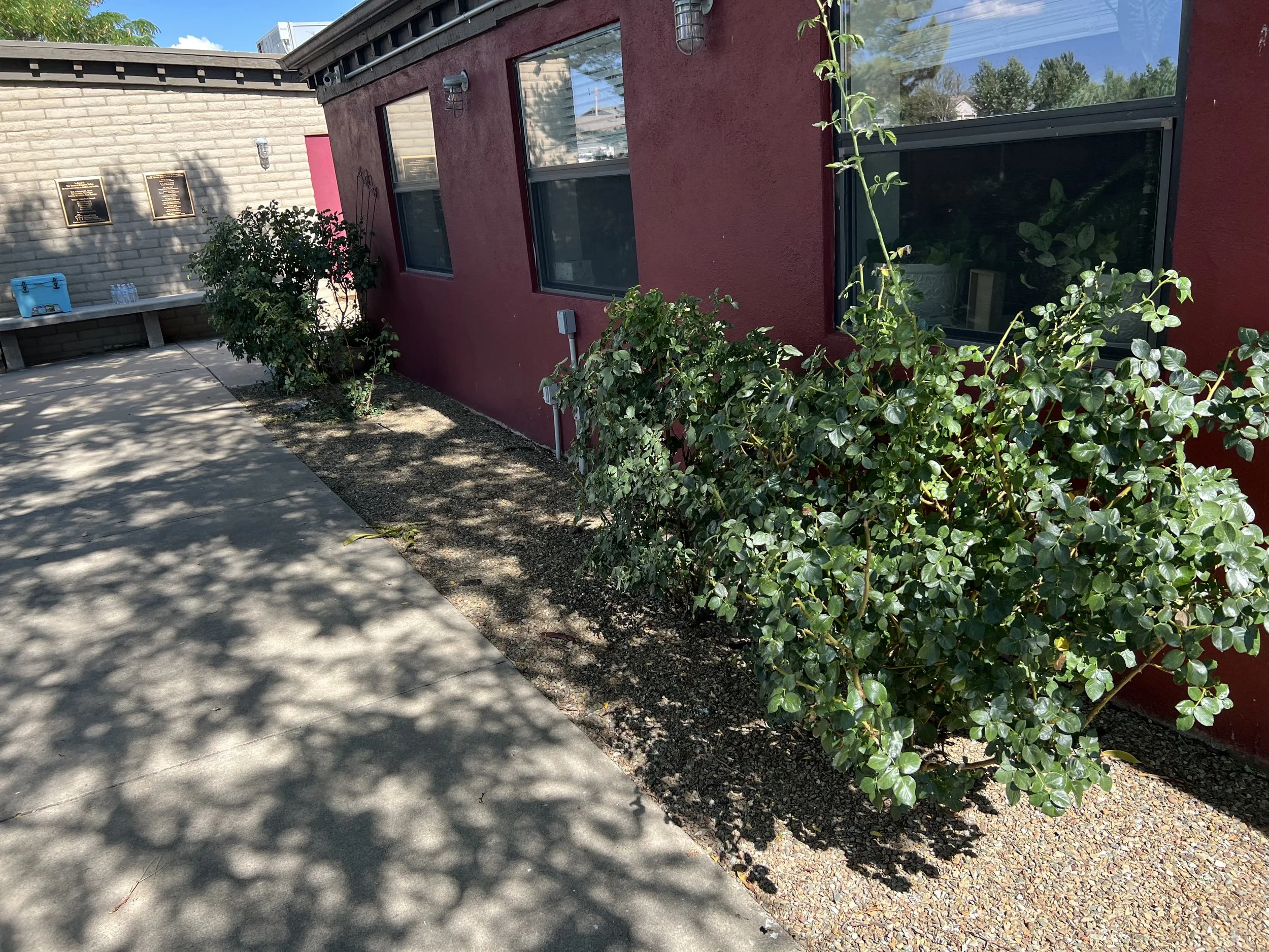 Copy of IMG_0121.jpg