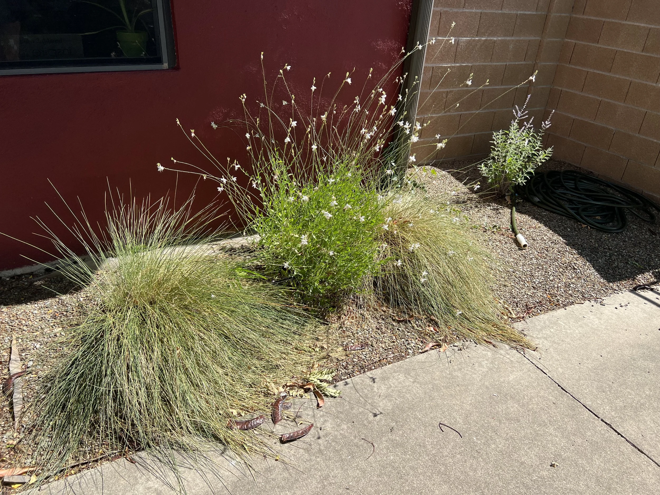 Copy of IMG_0122.jpg