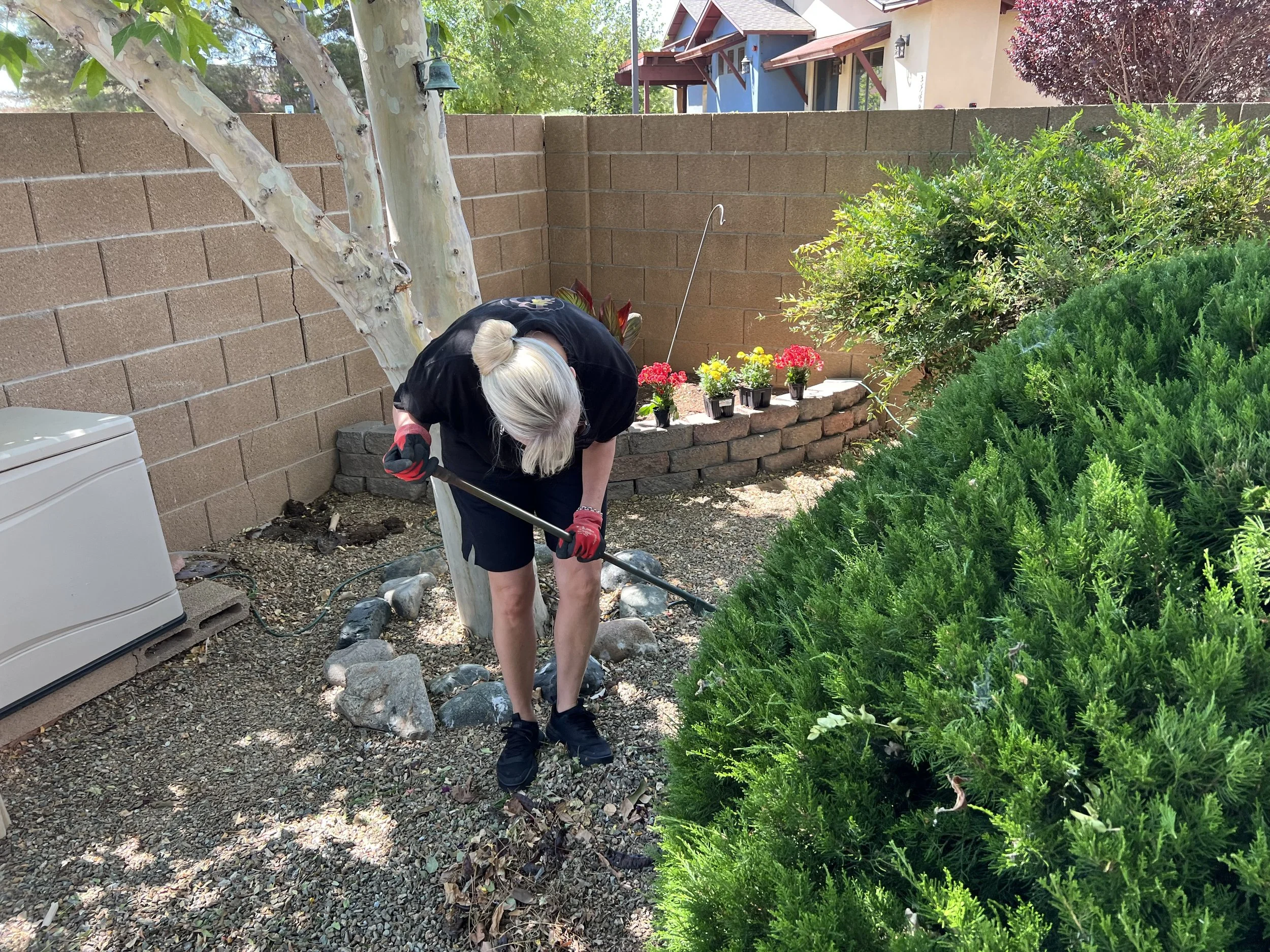 Copy of IMG_0123.jpg