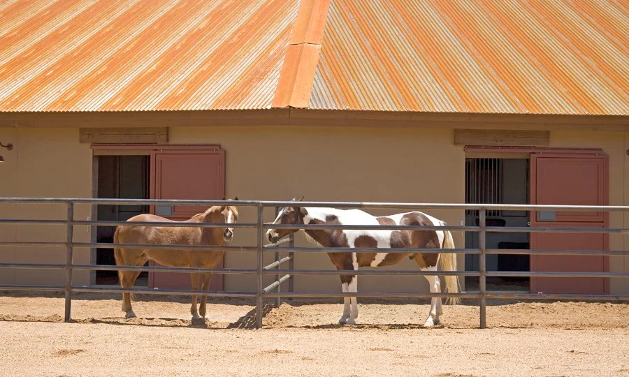 American Ranch in Prescott AZ (11).jpg