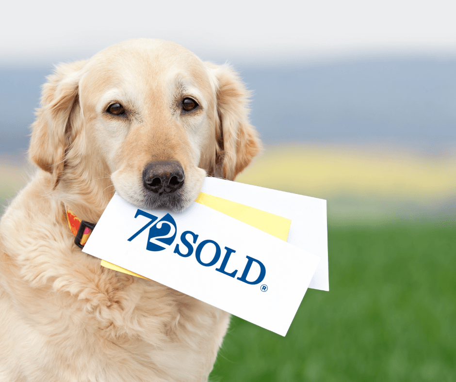 72 Sold Prescott AZ Northern ARizona (5).png