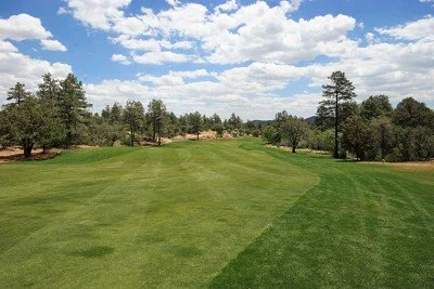 par5 eighth fairway.jpg