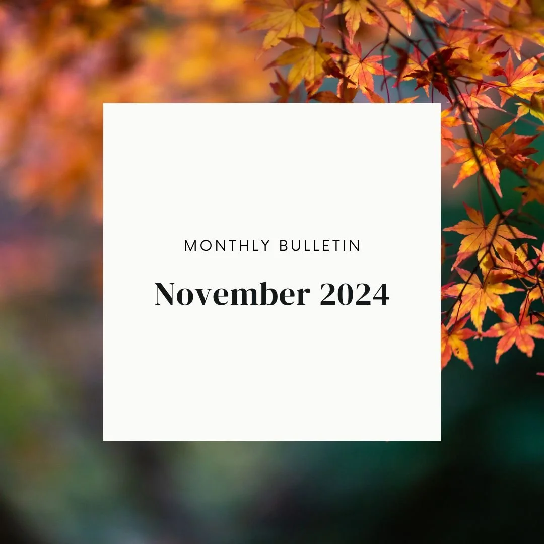 November 2024 Bulletin