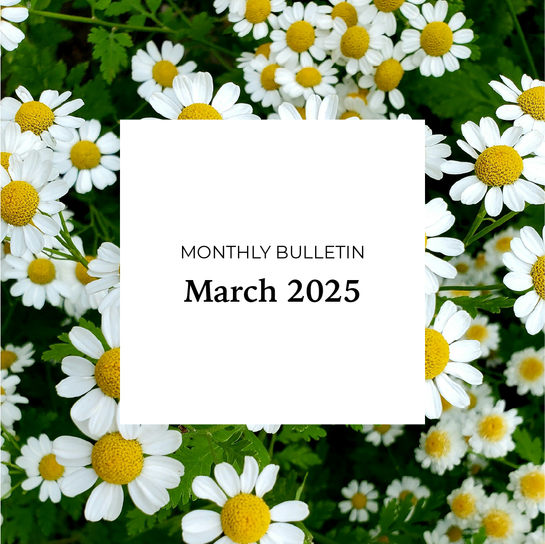March 2025 Bulletin