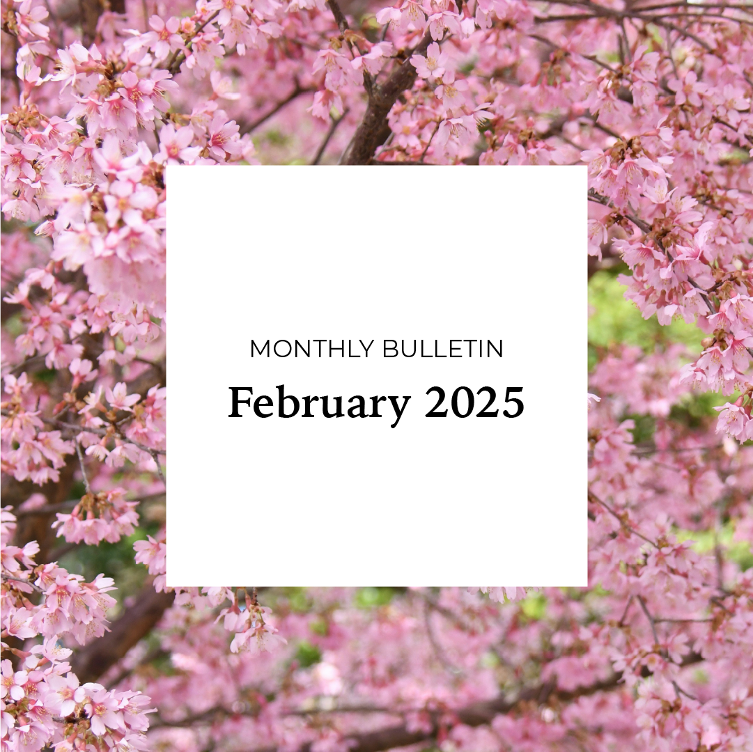 February 2025 Bulletin
