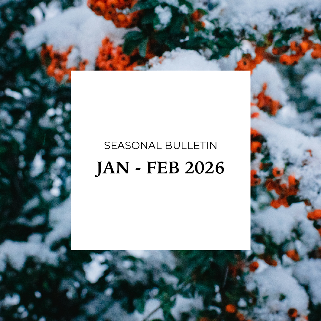 A cover page for a fall bulletin with a background of orange and yellow flowers and green leaves, containing text that reads "FALL BULLETIN SEP - DEC 2025."