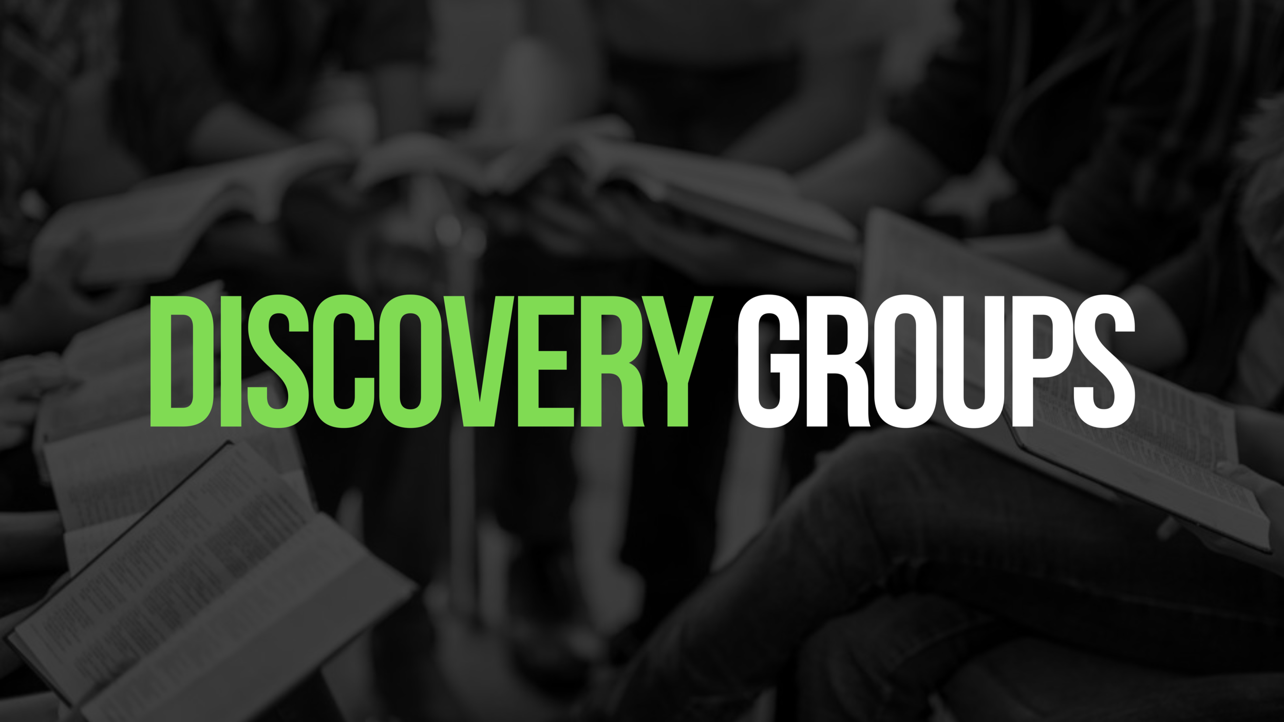 Bible Discovery Groups Begin