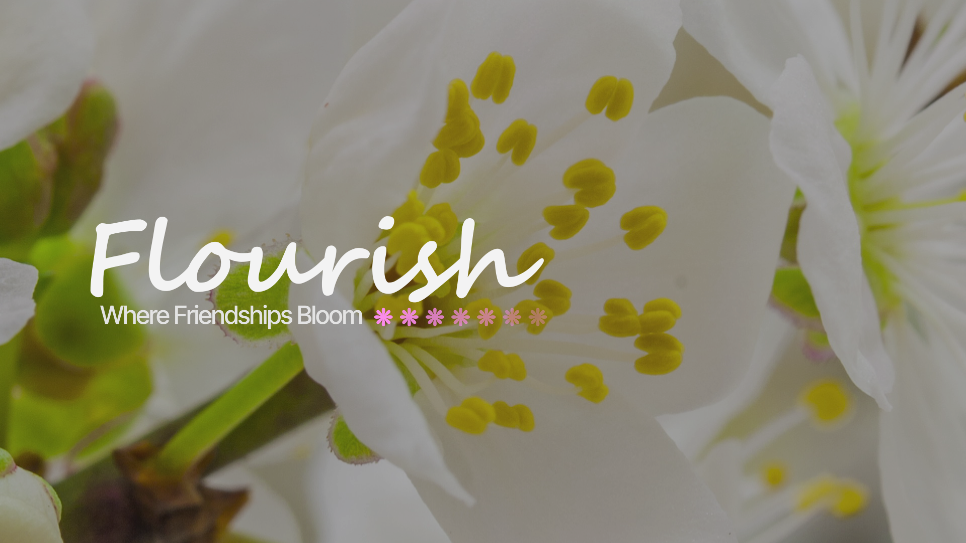 Flourish for Women
