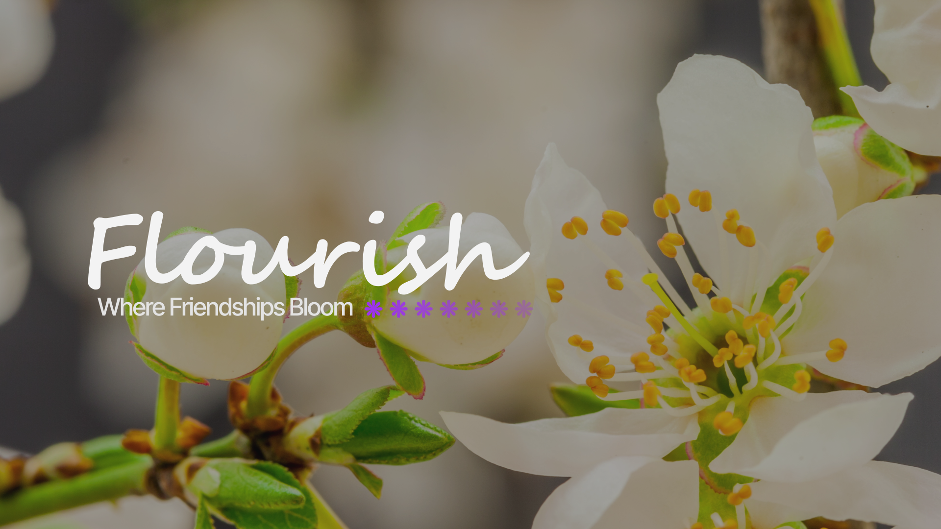Flourish for Women