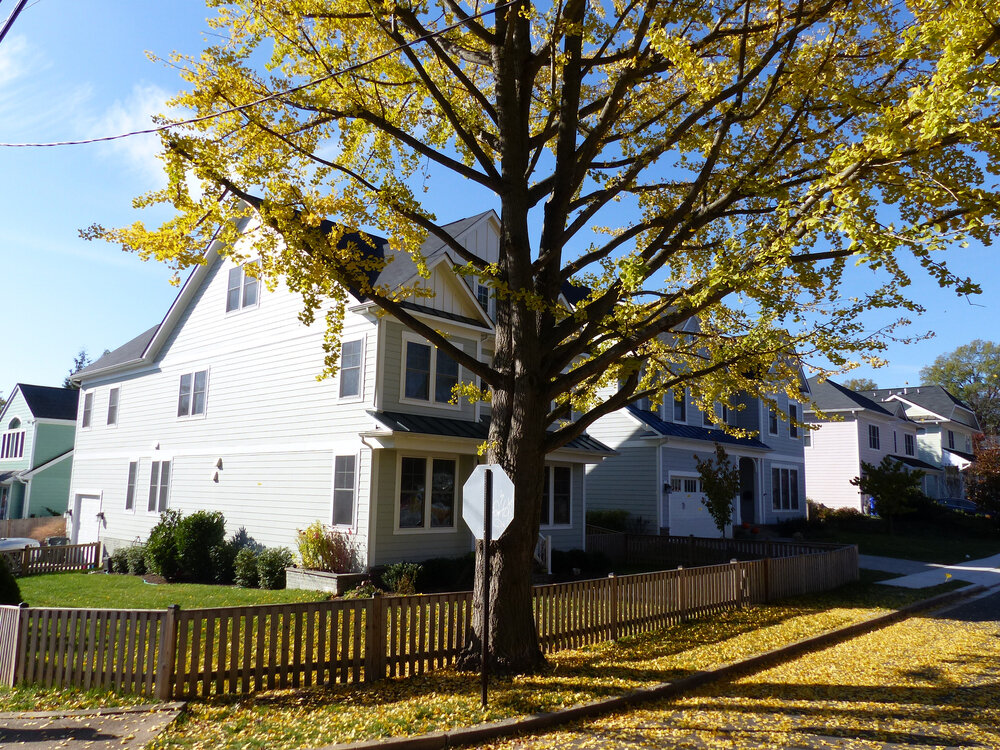 Arlington Ridge