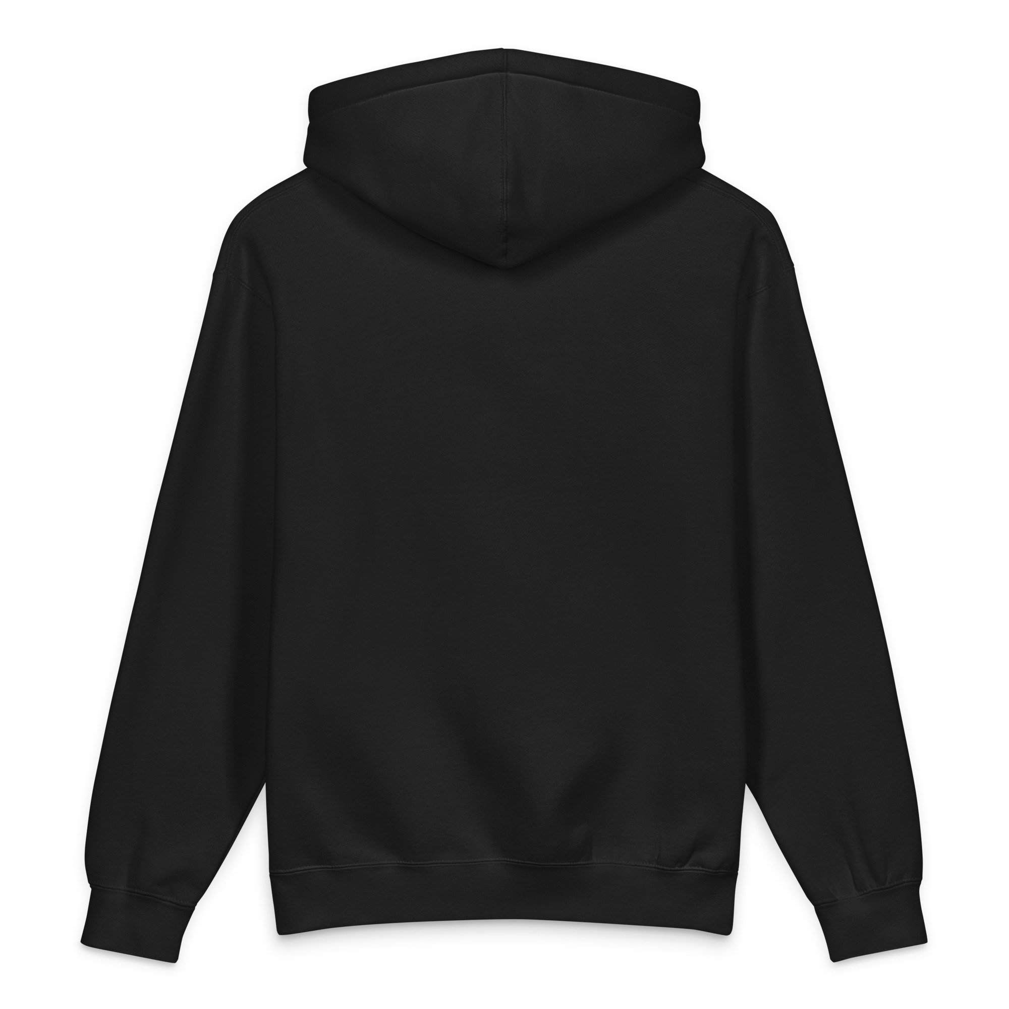 unisex-heavyweight-hooded-sweatshirt-black-back-6a5f16057fcdb.jpg