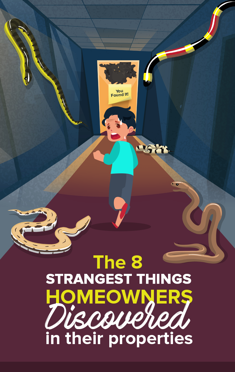 8 Of The Most Unexpected Things US Homeowners Found In Their Properties