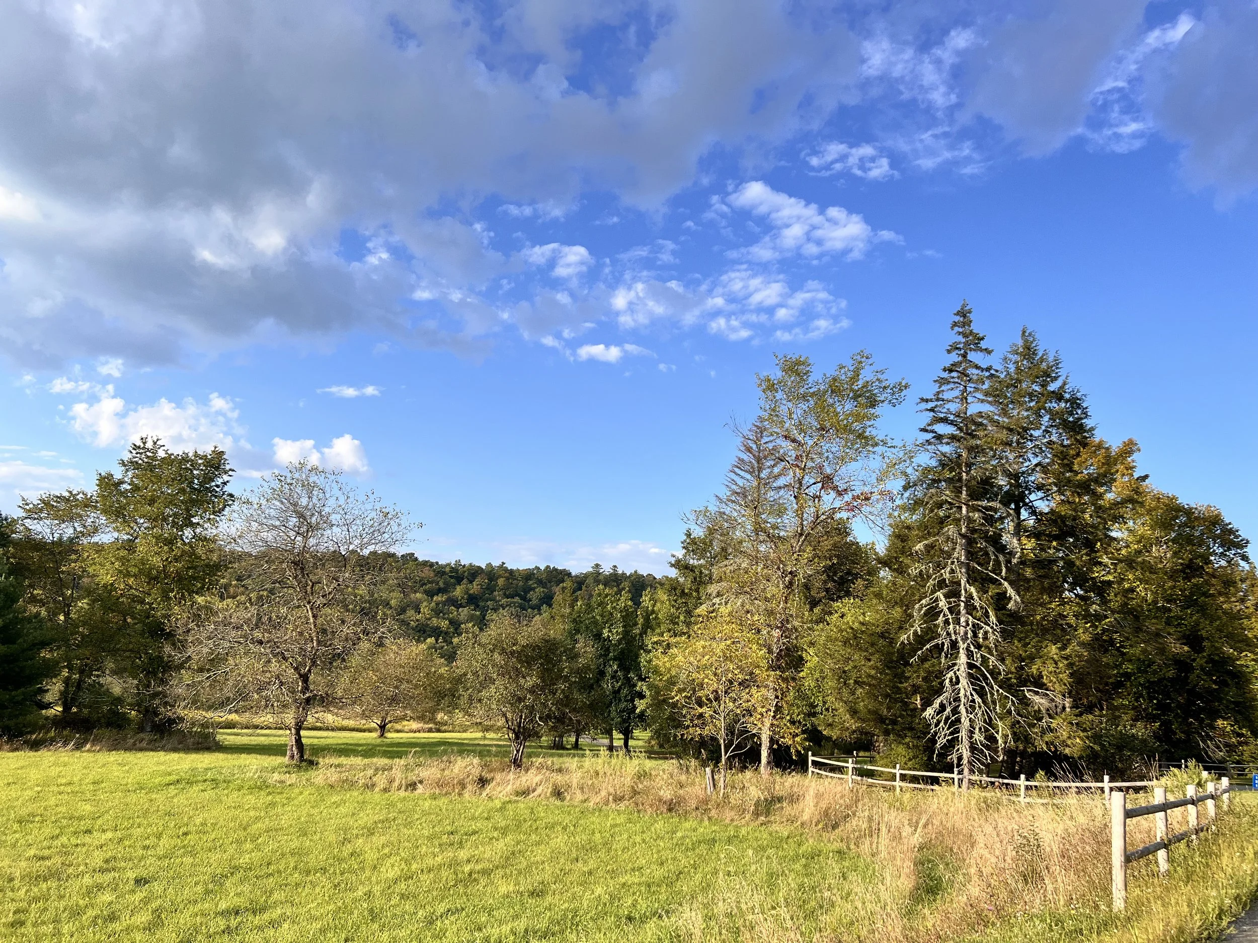Sussex County NJ Housing Market: 5 Takeaways for Early October