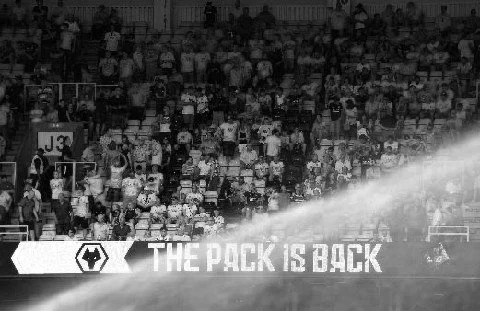 Trust statement - Jeff Shi