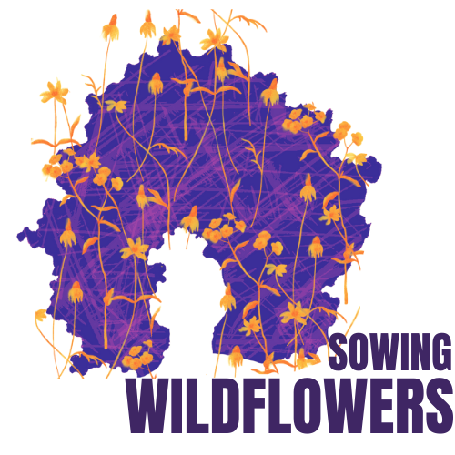 Sowing Wildflowers