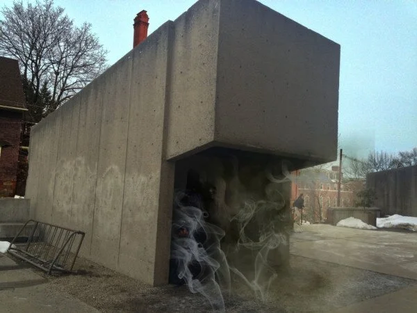 Finals Foraging - what to eat this week (WTETW)