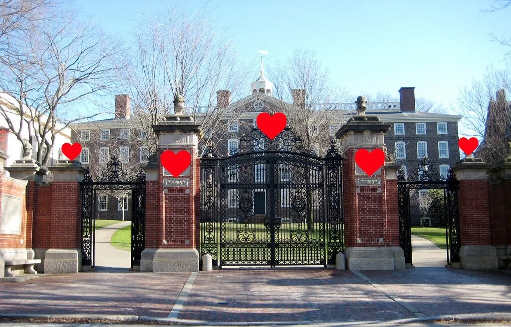 Plan B: Brown's Backup Boyfriends