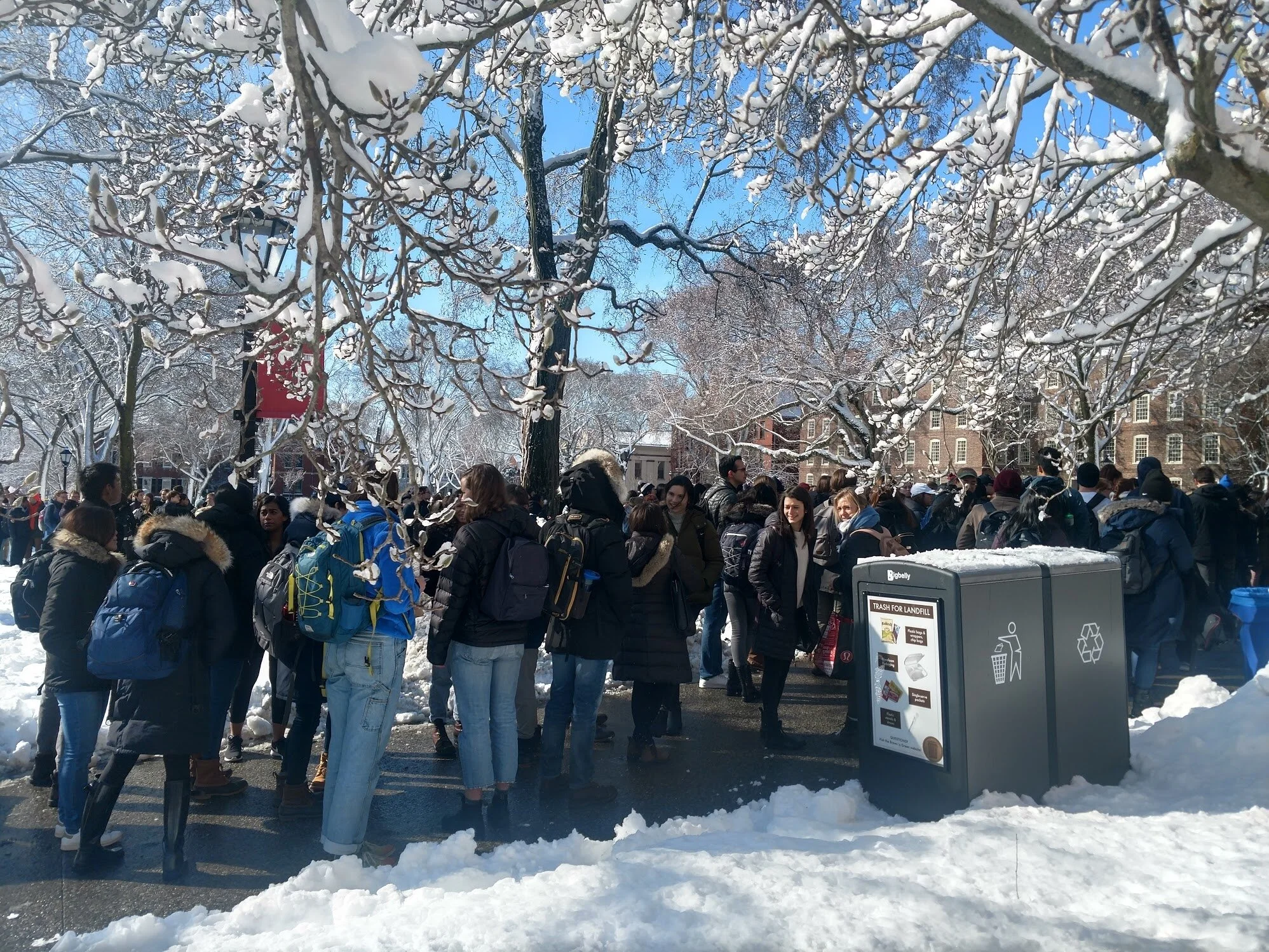 Brown Students Participate in Walkout and Statehouse Rally