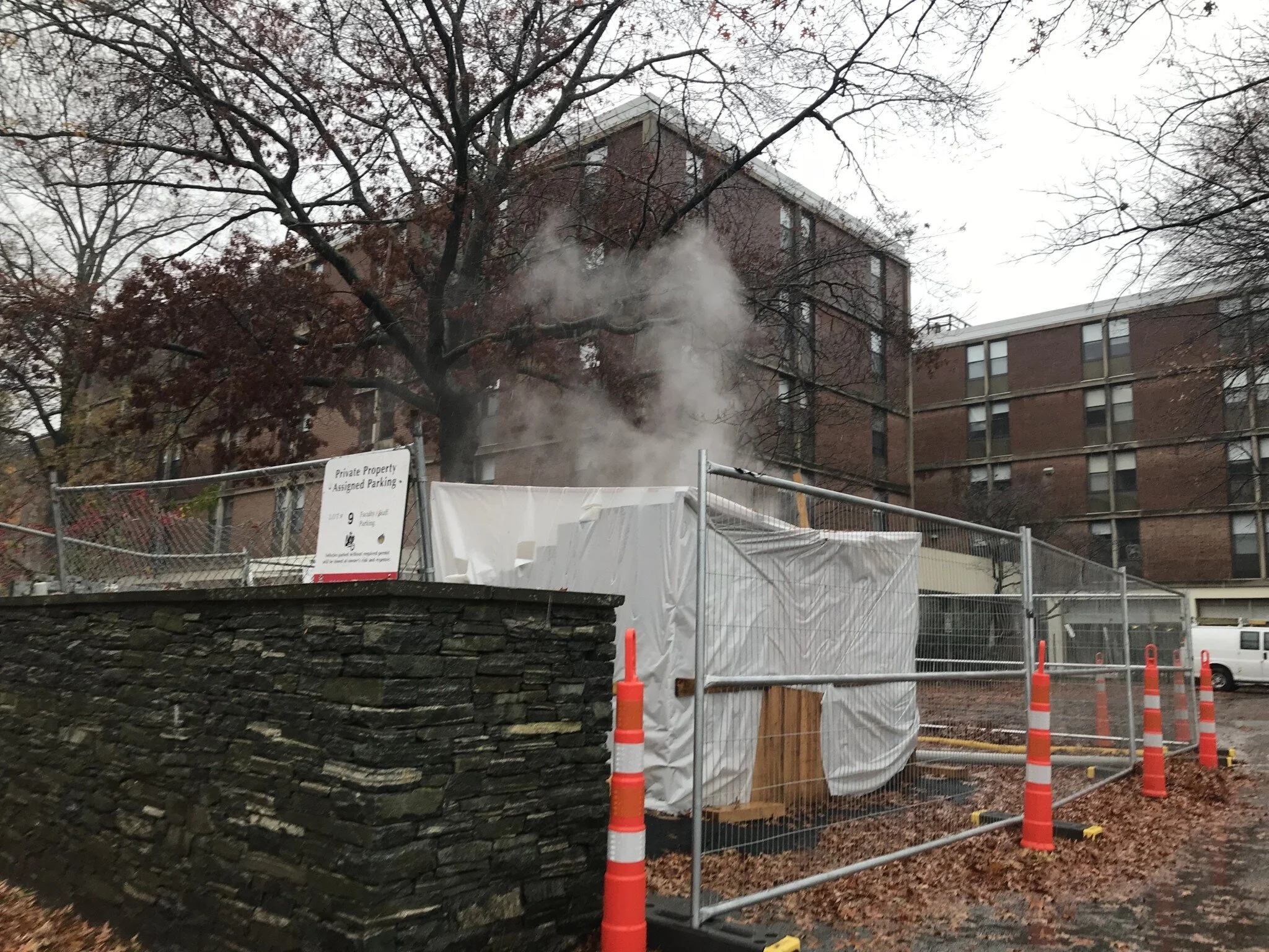 What's Up With Those Holes Around Campus?