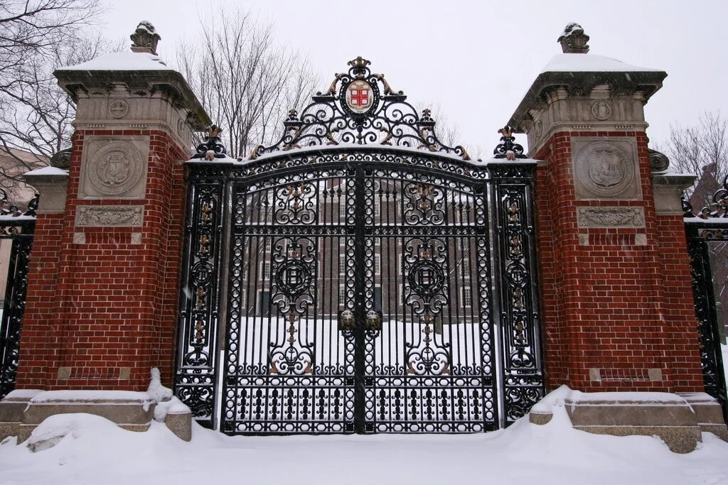 'Snow joke out there