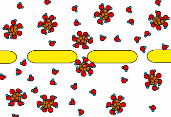 SATC: Osmosis and Diffusion