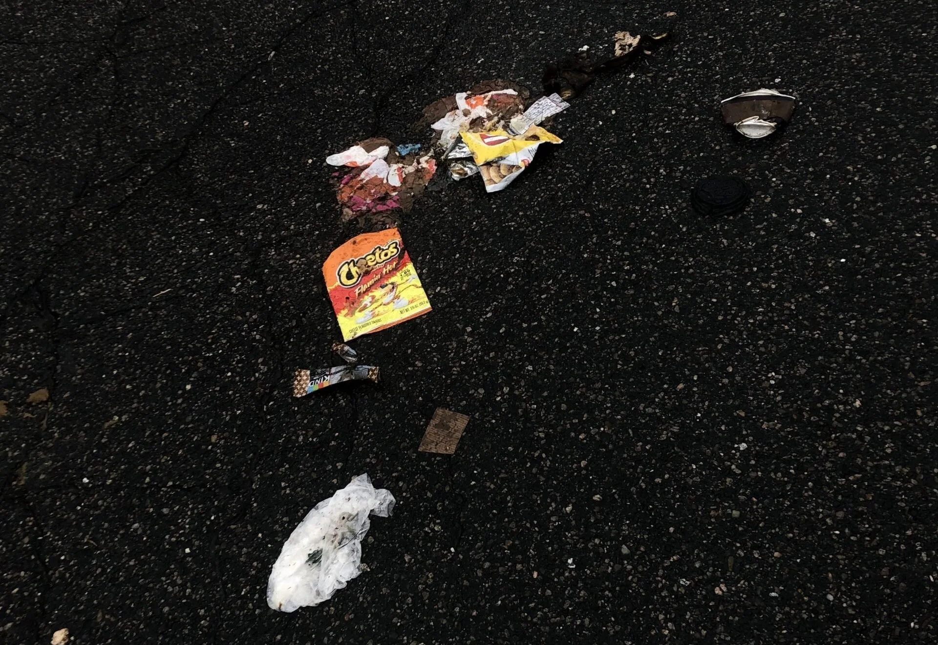 Trash at Brown: A Photo Essay