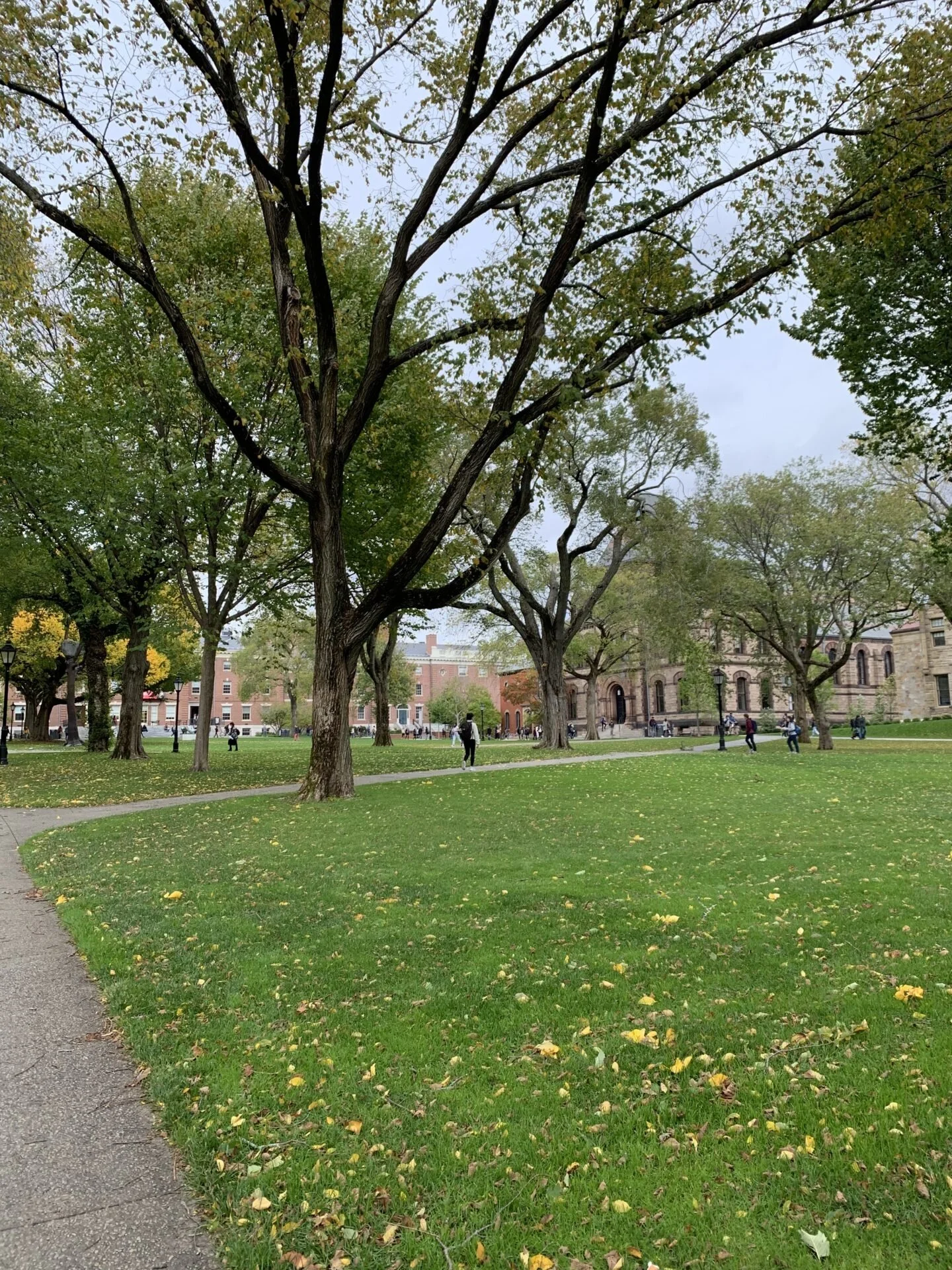 What to do while walking