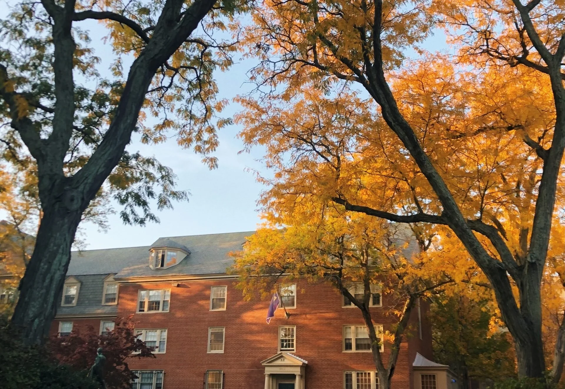 Brown went SAT-Optional this year. Let's keep it that way.